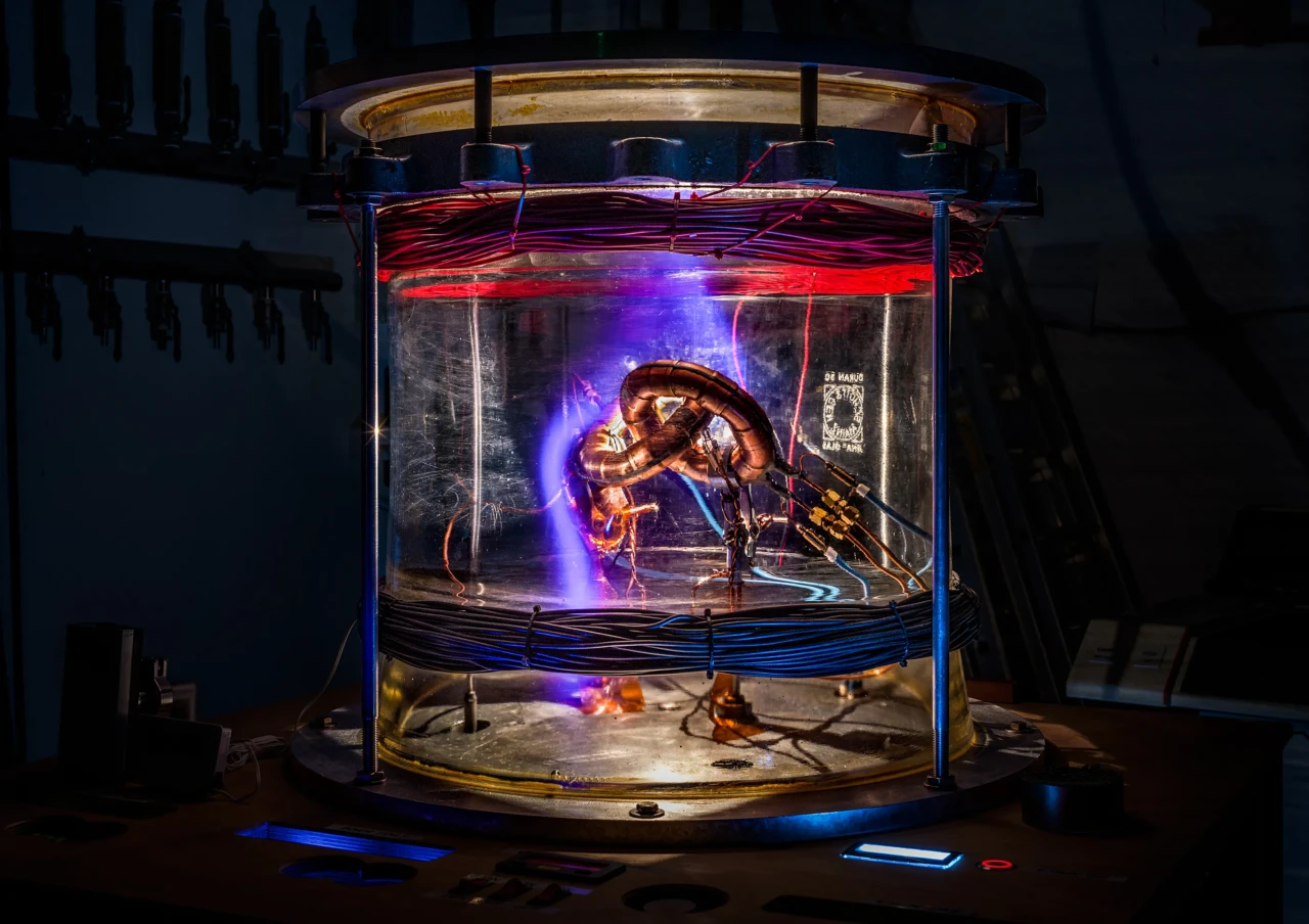 2025-ci ilin FOTOLARI...